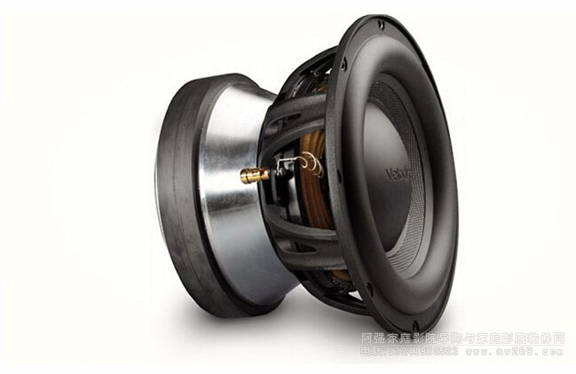 威力登低音单元