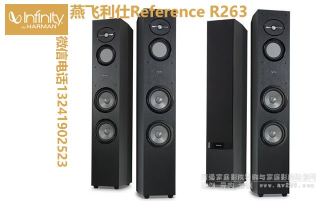 �������R263���� Infinity Reference R263