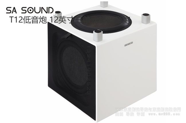SA Sound T12 12ӢԪ