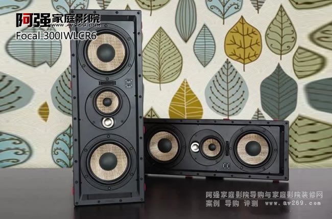 ʵĻЧFocal 300IWLCR6