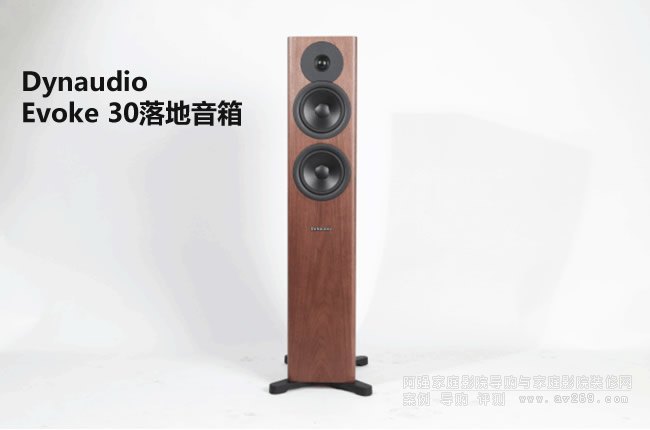  Dynaudio Evoke 30