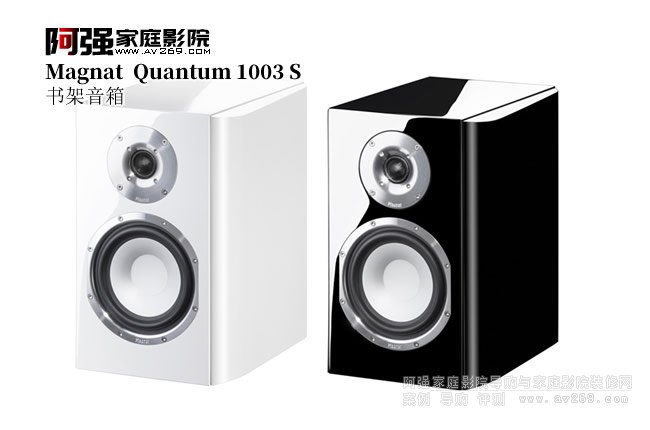 ¹ Quantum 1003S