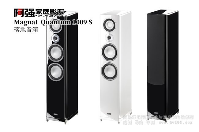 ¹ Quantum 1009S