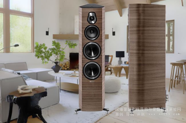 ư Sonus Faber Sonetto V