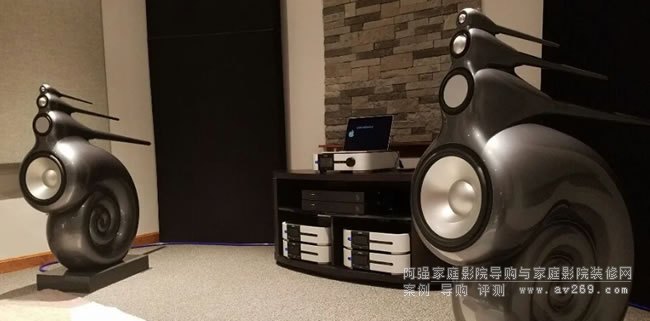 宝华韦健鹦鹉螺nautilus十问