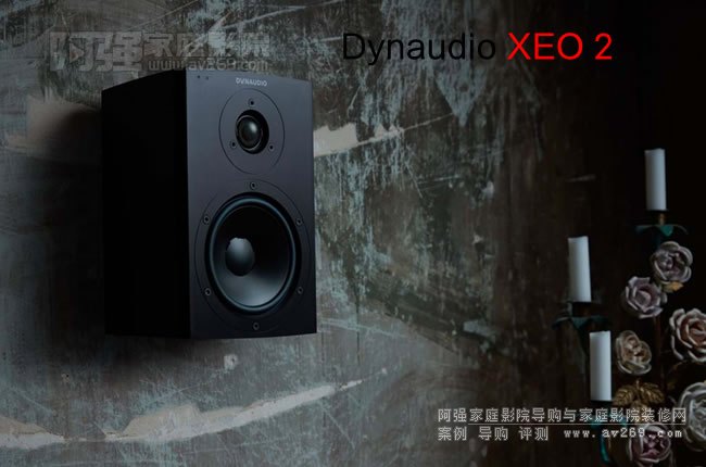 Dynaudio Xeo2 Դ