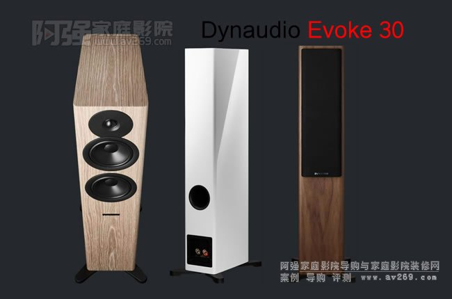  Evoke 30