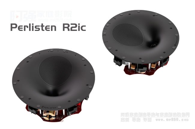 Perlisten R2icб