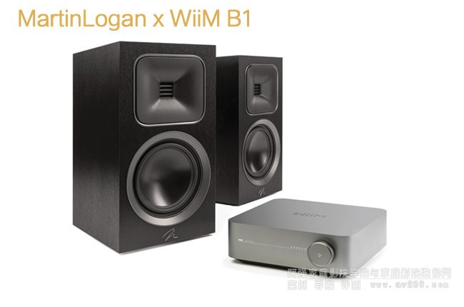 «Motion Foundation B1 x Wiim Ŵװ