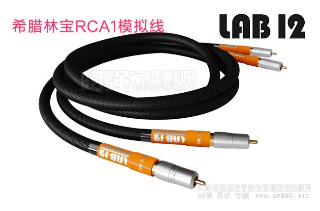 Lab12林宝RCA1模拟线介绍