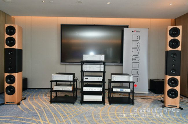 �ֳ��ɰ���ͨModel T10���俪��