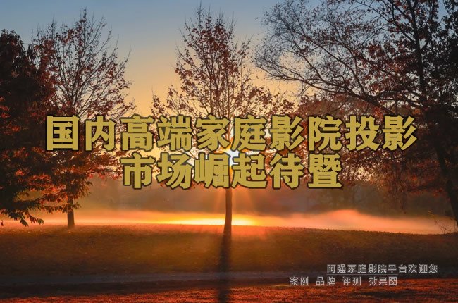 国内高端家庭影院投影市场崛起待暨