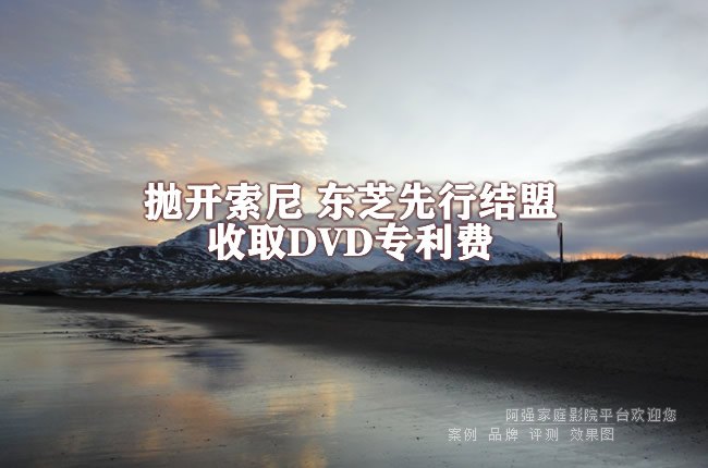 抛开索尼 东芝先行结盟收取DVD专利费
